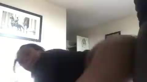 ssstwitter.com_1738957234761.mp4