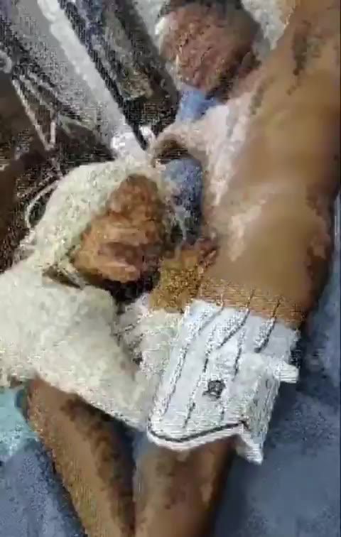 ssstwitter.com_1741318486955.mp4